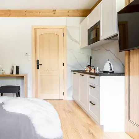 Willa Maja Relax Pod Giewontem Apartzakop Zakopane Exterior photo
